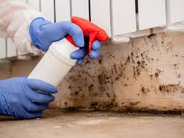 Professional Mold Prevention & Removal  in Crestline, OH